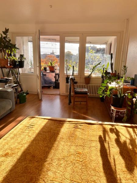 1 Zimmer mit Aussicht und 1 Zimmer mit Balkon in 4 Zimmer Wohnung, Szene, Parks und Top Lage, Rezervați  Berlin Germania