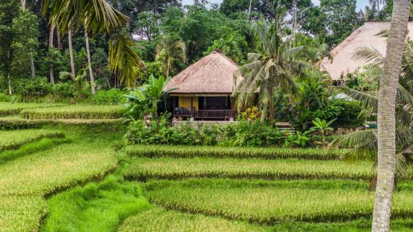 Imperial Villa in Ubud - Majestic Beauty and Nature, Rezervați  Hoteluri în Bali cu parcare, Parcare