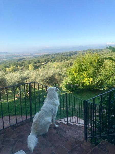 Agriturismo Campo al Crognolo, Rezervați  Sassofortino Toscana