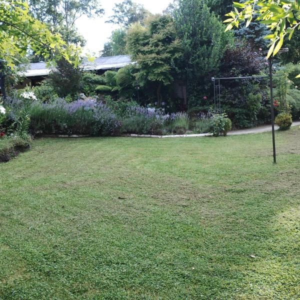 Cabaña Petalos Villarrica bungalows 3 personas, Rezervați  Hoteluri în Araucanía cu parcare, Parcare