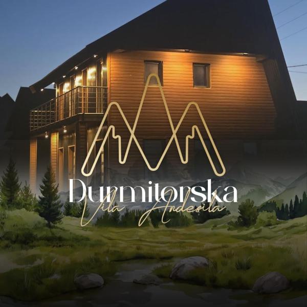 Durmitorska vila Andesila, Rezervați  Hoteluri în Zabljak County cu parcare, Parcare
