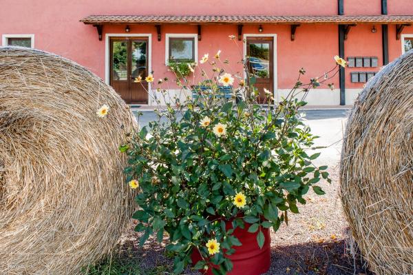 Agriturismo La Meridiana, Rezervați  Guidonia Roma